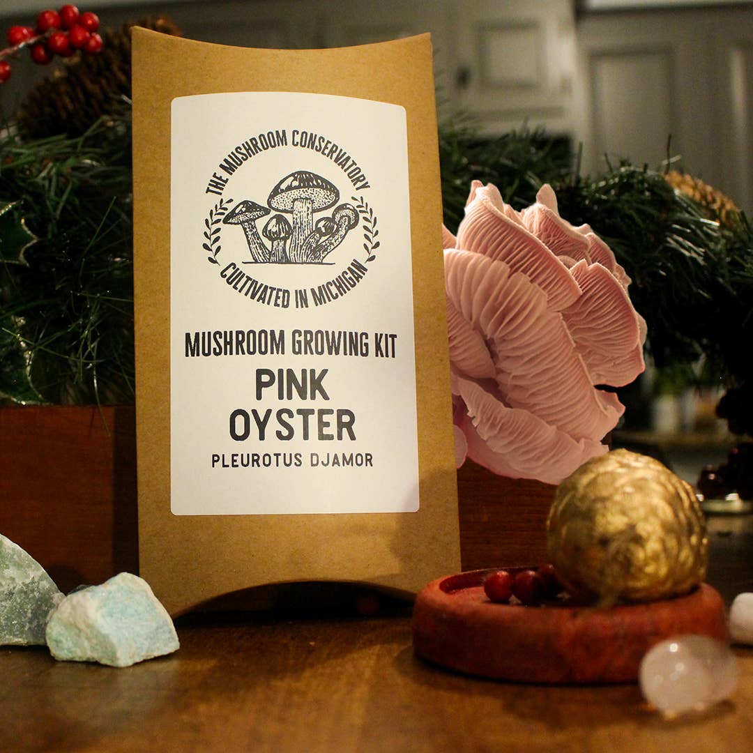 Pink Oyster Edible Mushroom Growing Kit - Great Foodie Gift