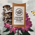 Black Pearl Oyster Edible Gourmet Mushroom Growing Kit