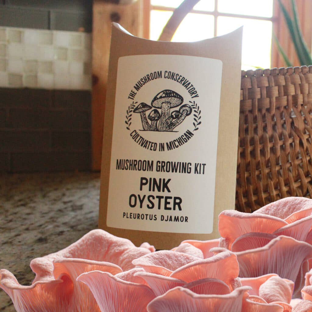 Pink Oyster Edible Mushroom Growing Kit - Great Foodie Gift