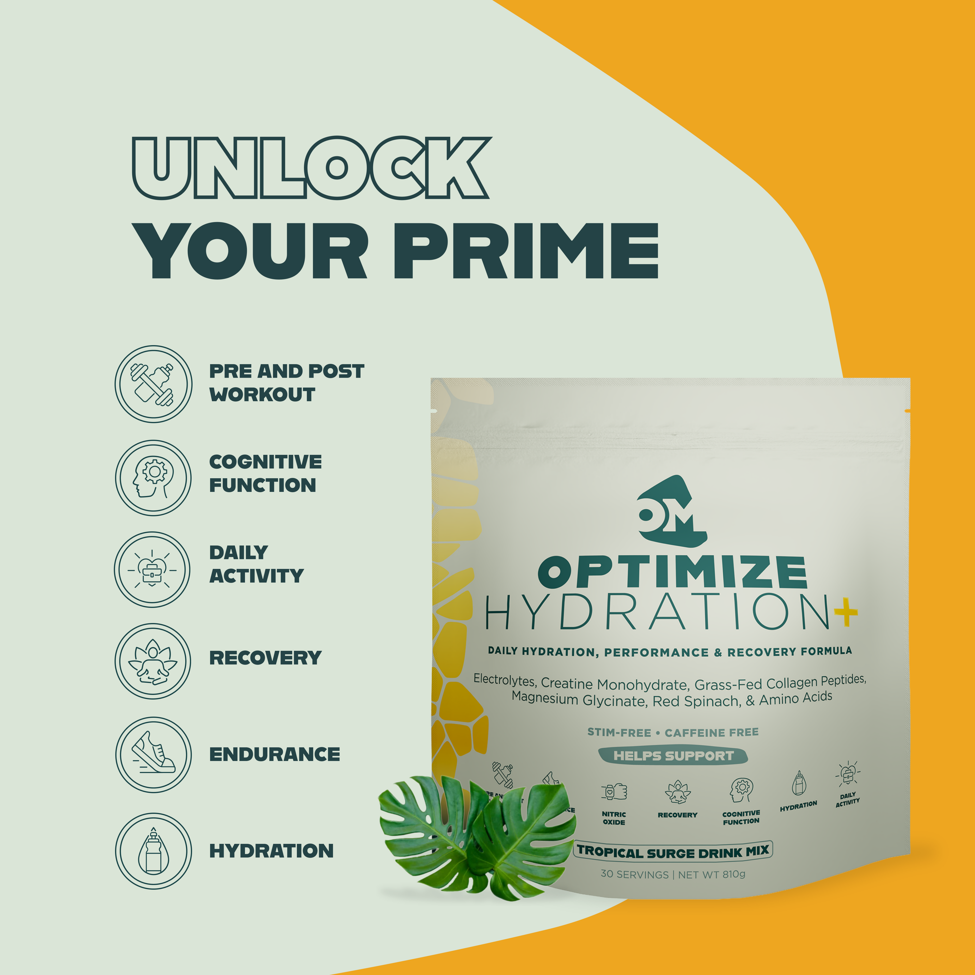Optimize Hydration +