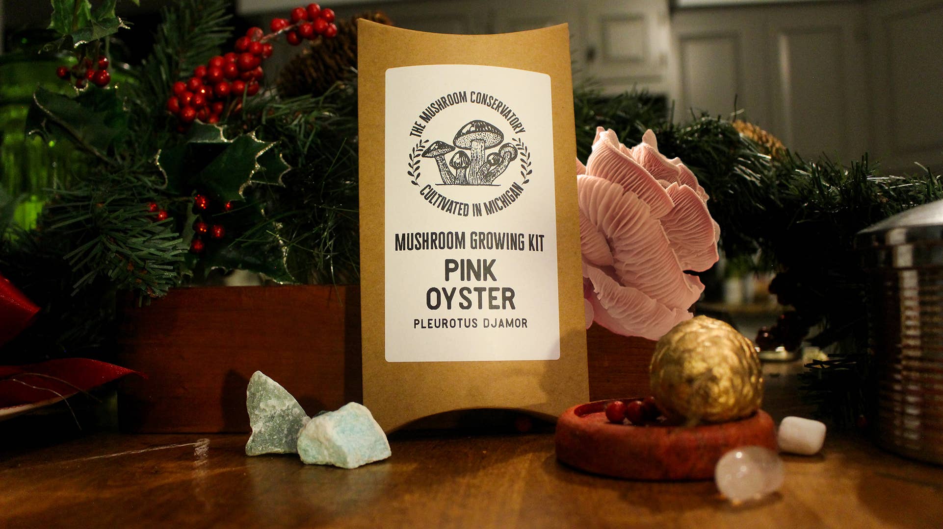 Pink Oyster Edible Mushroom Growing Kit - Great Foodie Gift