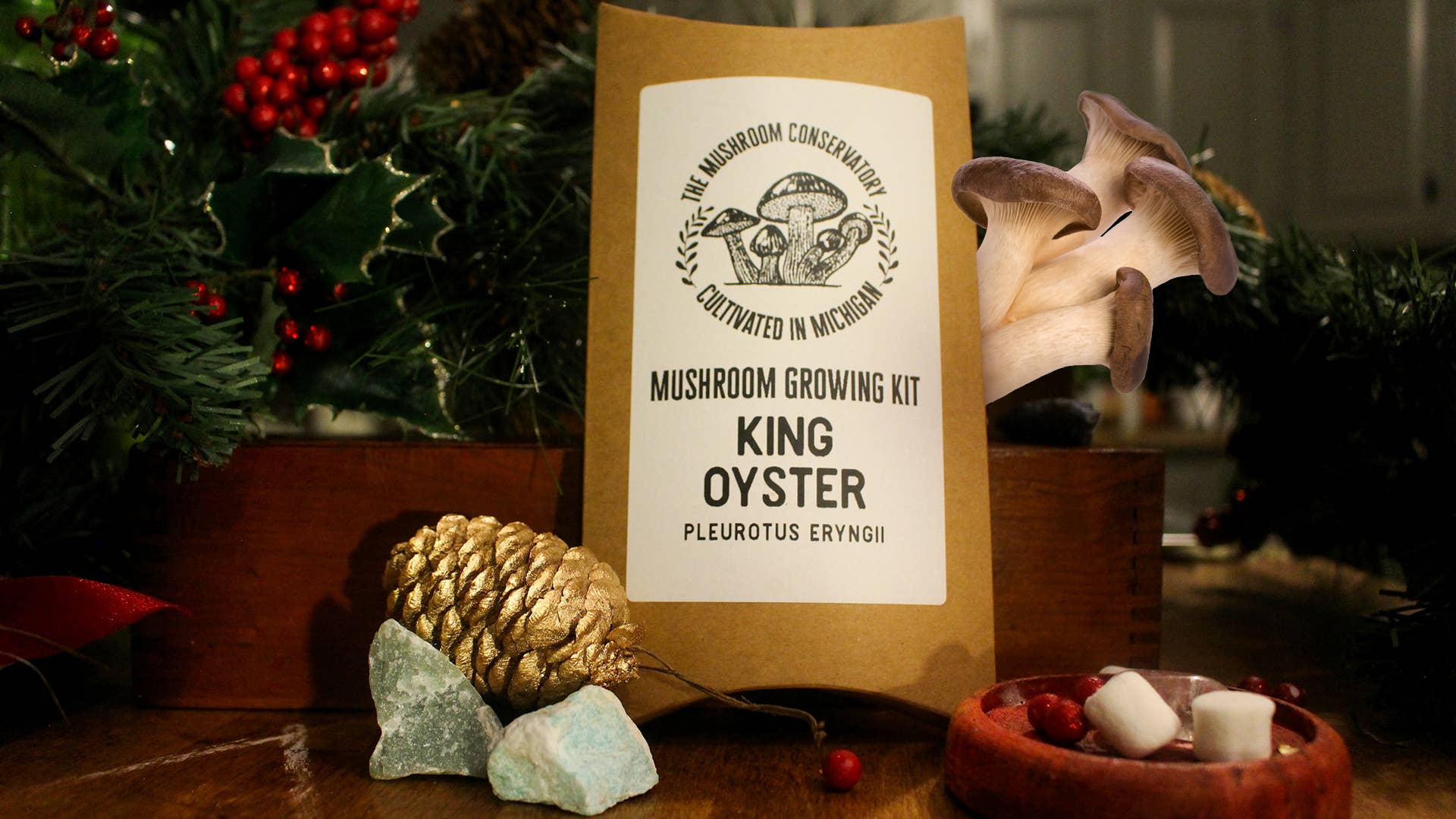 King Oyster Edible Gourmet Mushroom Growing Kit