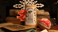 Pink Oyster Gourmet Mushroom Growing Kit Holiday Edition